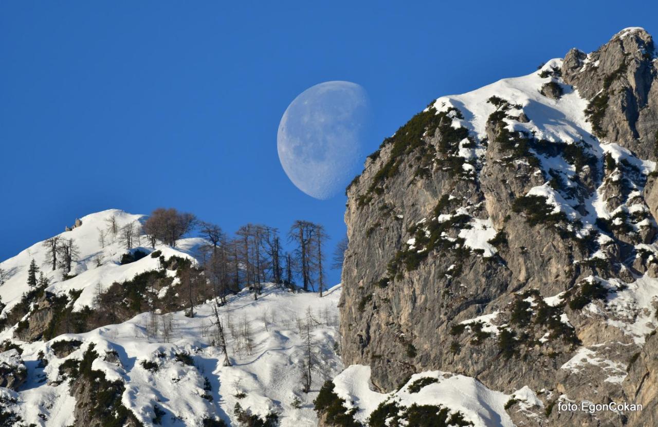 Mountain Charm Lägenhet Kranjska Gora Exteriör bild