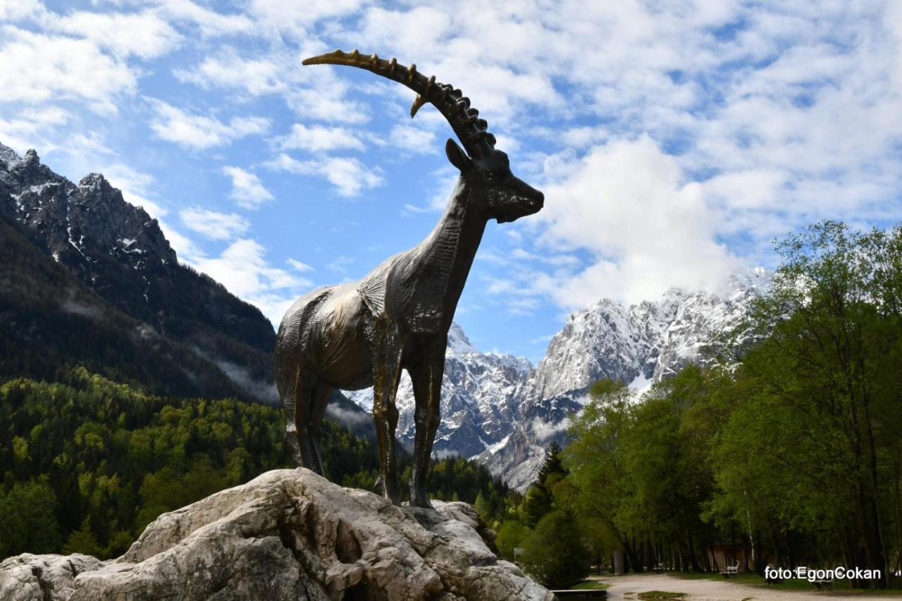 Mountain Charm Lägenhet Kranjska Gora Exteriör bild